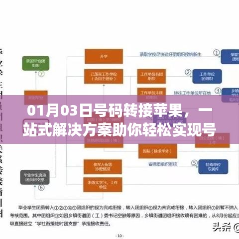 蘋果號碼轉(zhuǎn)移一站式解決方案，輕松實現(xiàn)轉(zhuǎn)接