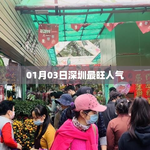 深圳人氣爆棚，最新人氣榜單揭曉