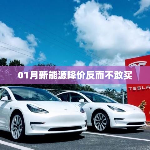 新能源降價引發(fā)觀望心態(tài)，消費者猶豫待購