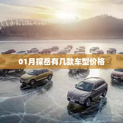 探岳車型價(jià)格表（最新）