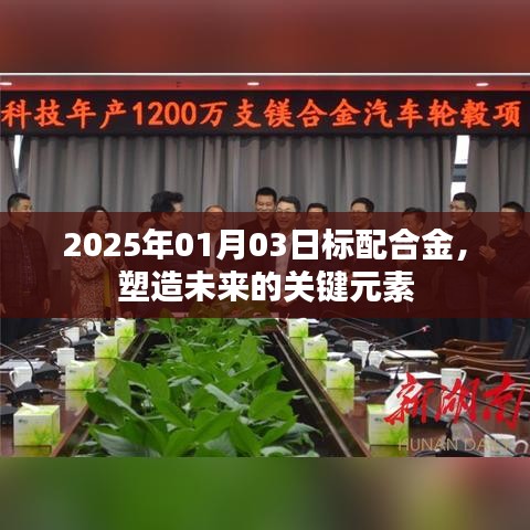 標(biāo)配合金，塑造未來關(guān)鍵元素，2025年展望