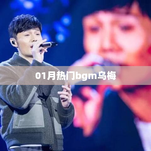 01月熱門背景音樂(lè)，烏梅之歌