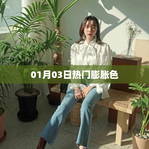 熱門膨脹色風(fēng)潮，01月03日新動態(tài)
