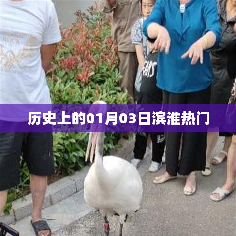 濱淮熱門事件回顧，歷史上的1月3日