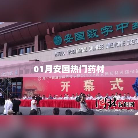 01月安國熱門藥材概覽