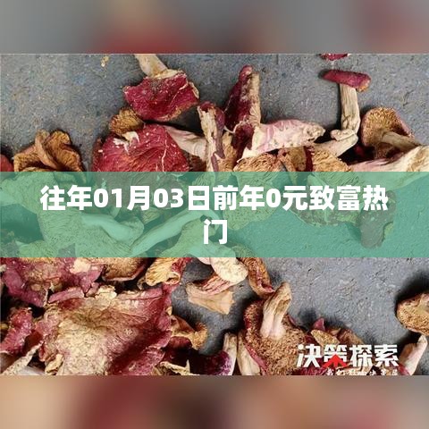 「歷年致富熱門回顧，年前零元起步熱門商機(jī)」
