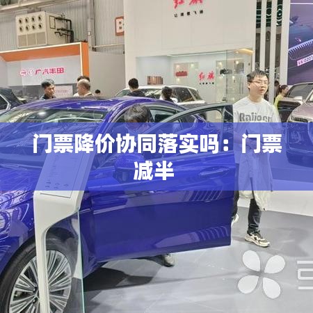 門票降價協(xié)同落實(shí)嗎：門票減半 