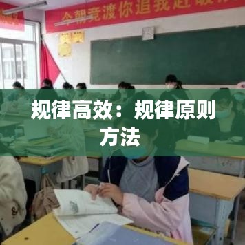 規(guī)律高效:規(guī)律原則方法