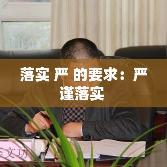 落實 嚴(yán) 的要求：嚴(yán)謹(jǐn)落實 