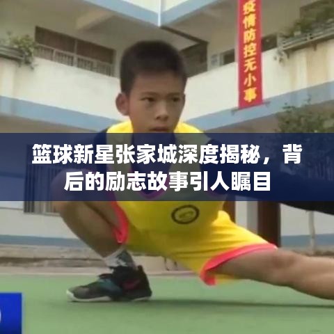 籃球新星張家城深度揭秘，背后的勵(lì)志故事引人矚目