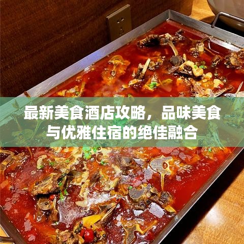 最新美食酒店攻略，品味美食與優(yōu)雅住宿的絕佳融合