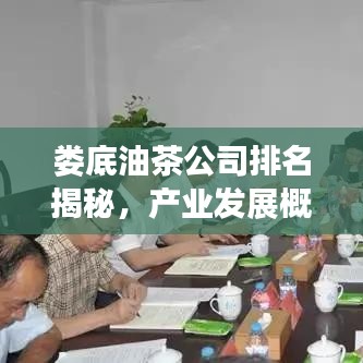 婁底油茶公司排名揭秘，產(chǎn)業(yè)發(fā)展概覽