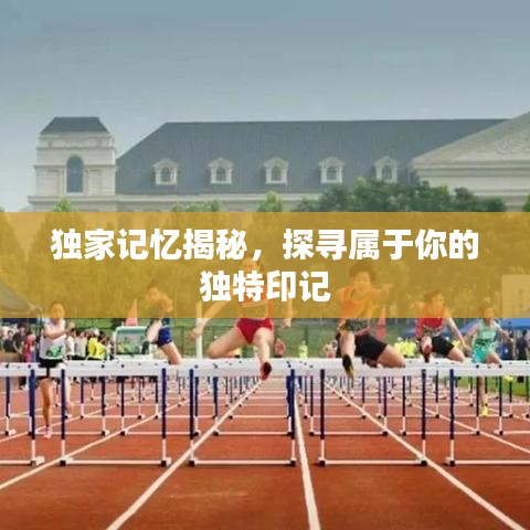獨(dú)家記憶揭秘，探尋屬于你的獨(dú)特印記