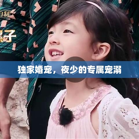 獨(dú)家婚寵，夜少的專屬寵溺