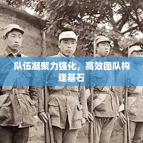 隊伍凝聚力強化，高效團隊構建基石