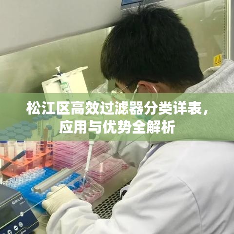 松江區(qū)高效過濾器分類詳表，應(yīng)用與優(yōu)勢全解析