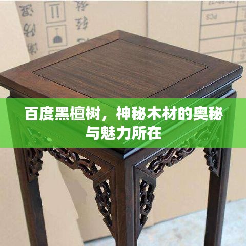 反樸歸真 第3頁