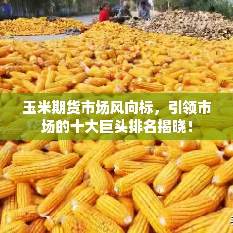 玉米期貨市場(chǎng)風(fēng)向標(biāo)，引領(lǐng)市場(chǎng)的十大巨頭排名揭曉！