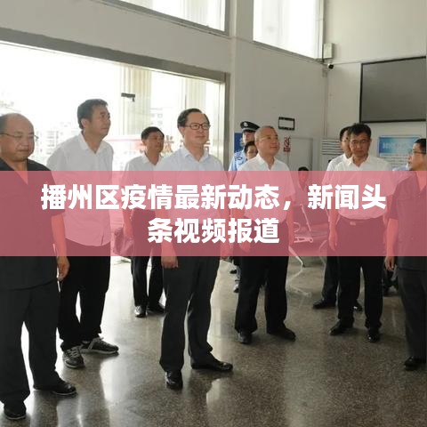 播州區(qū)疫情最新動態(tài)，新聞頭條視頻報道