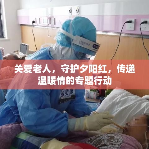 關(guān)愛老人，守護(hù)夕陽紅，傳遞溫暖情的專題行動