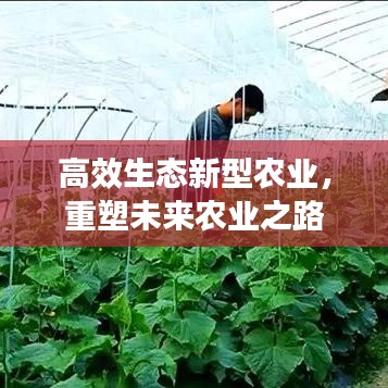 高效生態(tài)新型農(nóng)業(yè)，重塑未來農(nóng)業(yè)之路