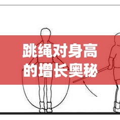 跳繩對身高的增長奧秘，科學(xué)運動助力身高飛躍發(fā)展！