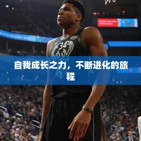 自我成長(zhǎng)之力，不斷進(jìn)化的旅程