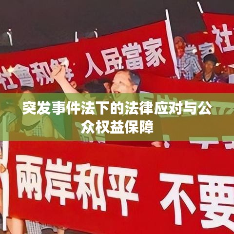 突發(fā)事件法下的法律應(yīng)對(duì)與公眾權(quán)益保障