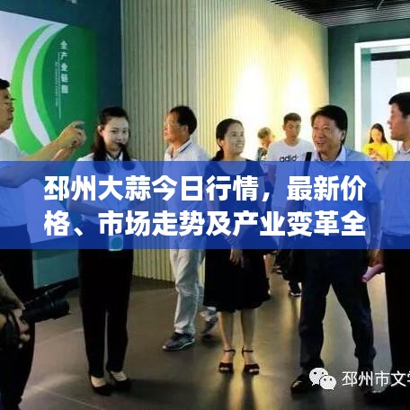 邳州大蒜今日行情，最新價(jià)格、市場(chǎng)走勢(shì)及產(chǎn)業(yè)變革全解析