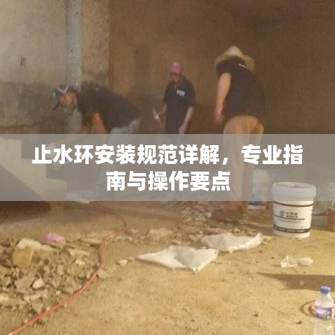 止水環(huán)安裝規(guī)范詳解，專業(yè)指南與操作要點