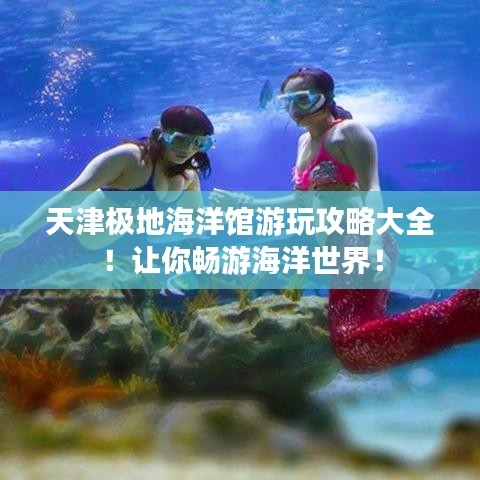 天津極地海洋館游玩攻略大全！讓你暢游海洋世界！