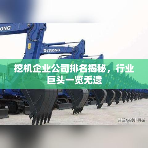 挖機(jī)企業(yè)公司排名揭秘，行業(yè)巨頭一覽無遺