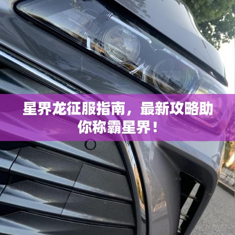 星界龍征服指南，最新攻略助你稱霸星界！