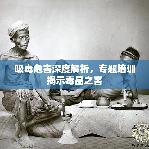 吸毒危害深度解析，專題培訓(xùn)揭示毒品之害