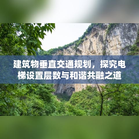 建筑物垂直交通規(guī)劃，探究電梯設置層數(shù)與和諧共融之道