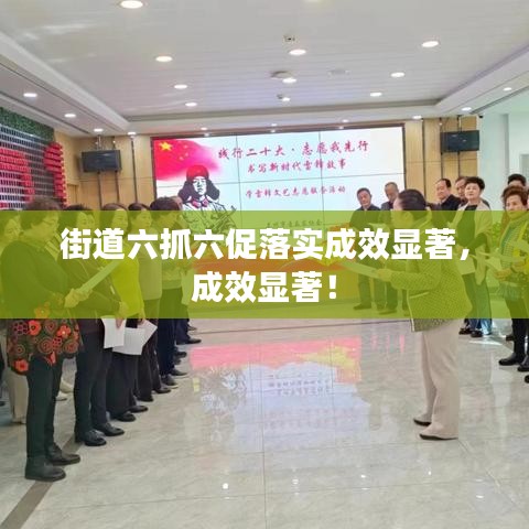 街道六抓六促落實(shí)成效顯著，成效顯著！