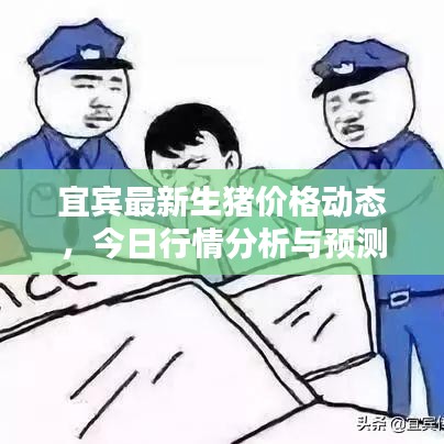 宜賓最新生豬價(jià)格動(dòng)態(tài)，今日行情分析與預(yù)測(cè)