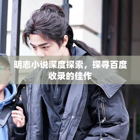 明志小說深度探索，探尋百度收錄的佳作