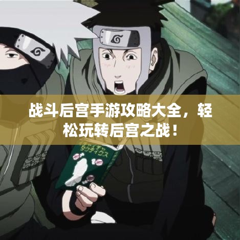 戰(zhàn)斗后宮手游攻略大全，輕松玩轉(zhuǎn)后宮之戰(zhàn)！